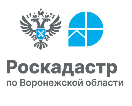 Кто может получить сведения о недвижимости со скидкой 50 процентов.