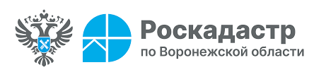 Филиал ППК «Роскадастр» по Воронежской области информирует.